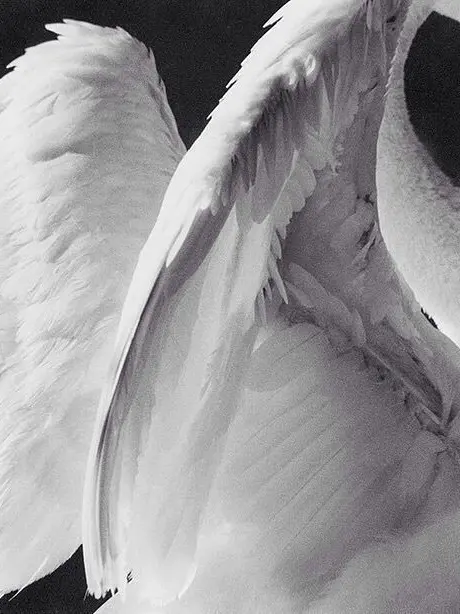 Not_my_fault의 바람을 타고