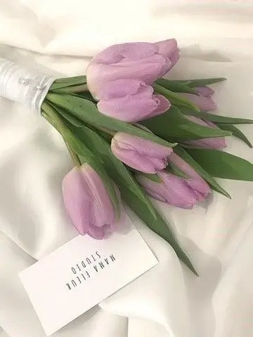 BentMop5353의 좋아하는 애가 생겼어