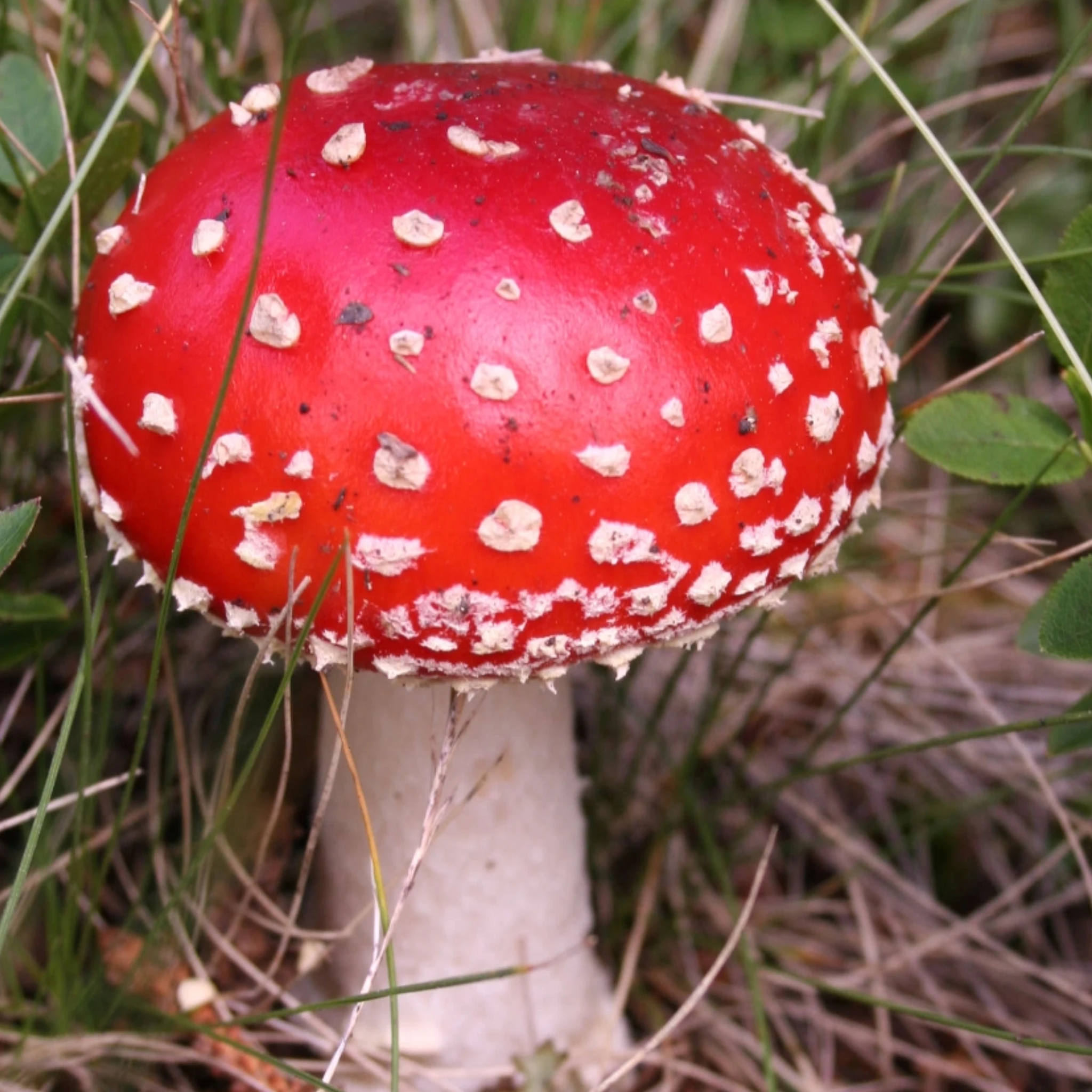 2. (하지마세요 할거면 1번하고와)