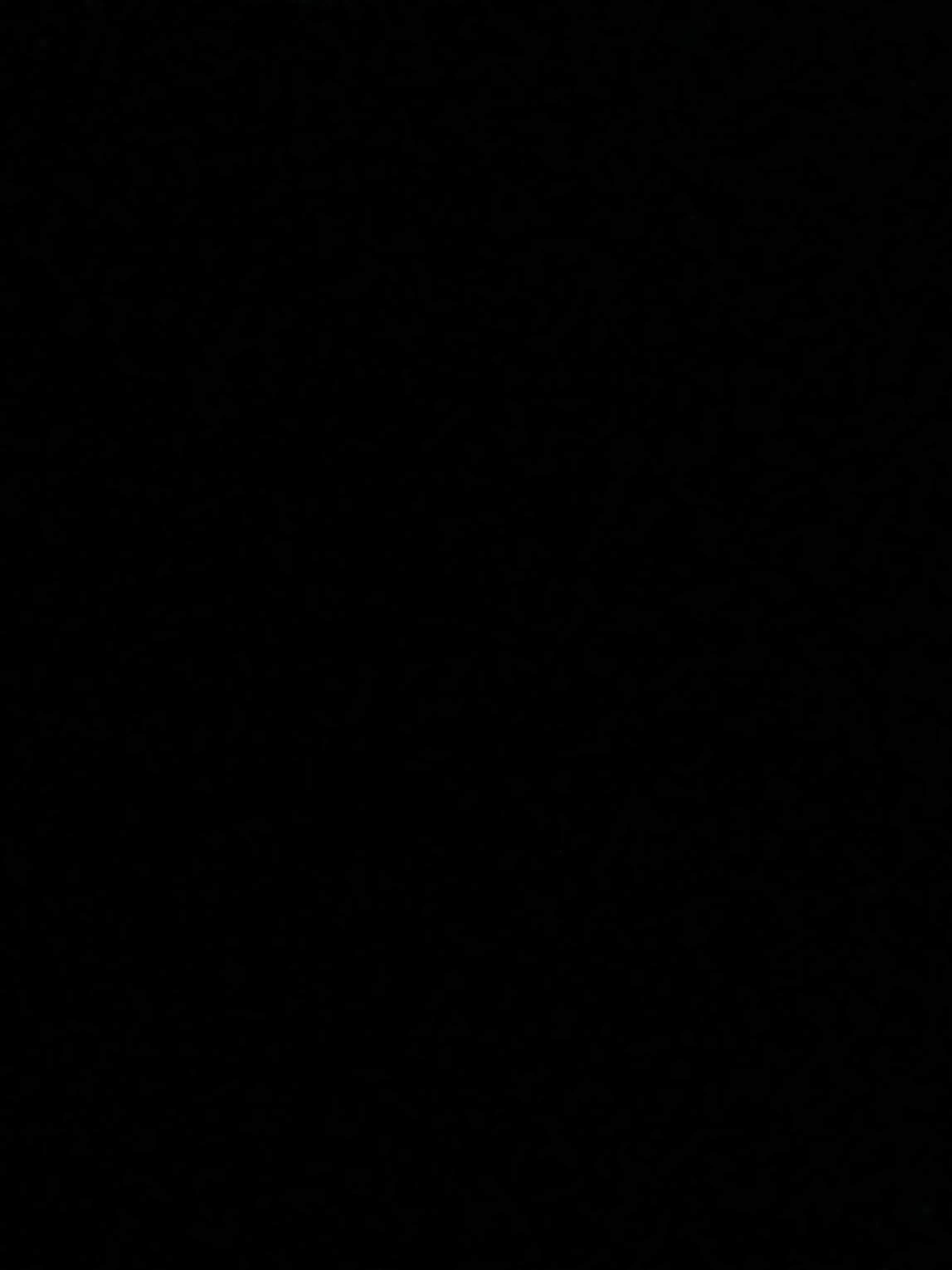 Yahoo_2121의 외롭고도 쓸쓸한 막내의 삶이란,