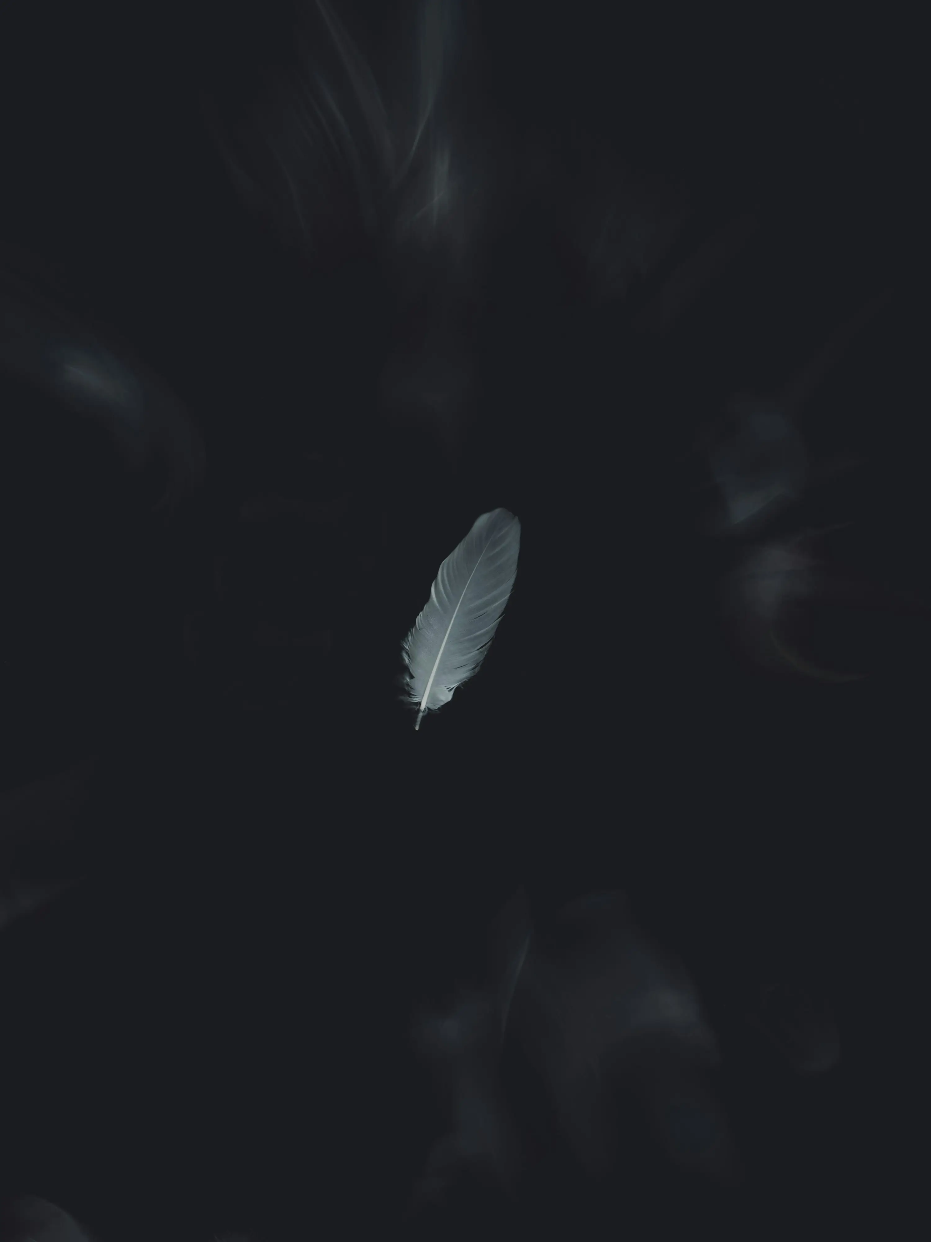 Melty_Dreamer의 지옥으로 떨어진 천사