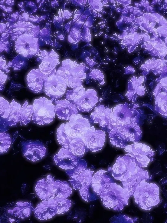 Blanked.love의 0107