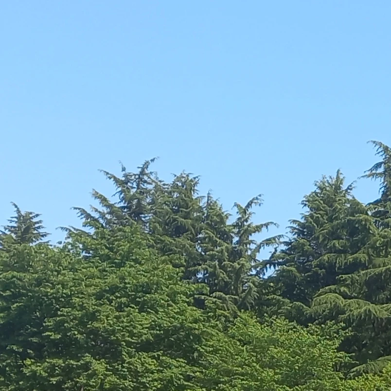 능글맞은 무에타이 선수