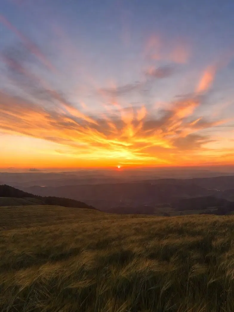 Haruto_da의 相談したいときに