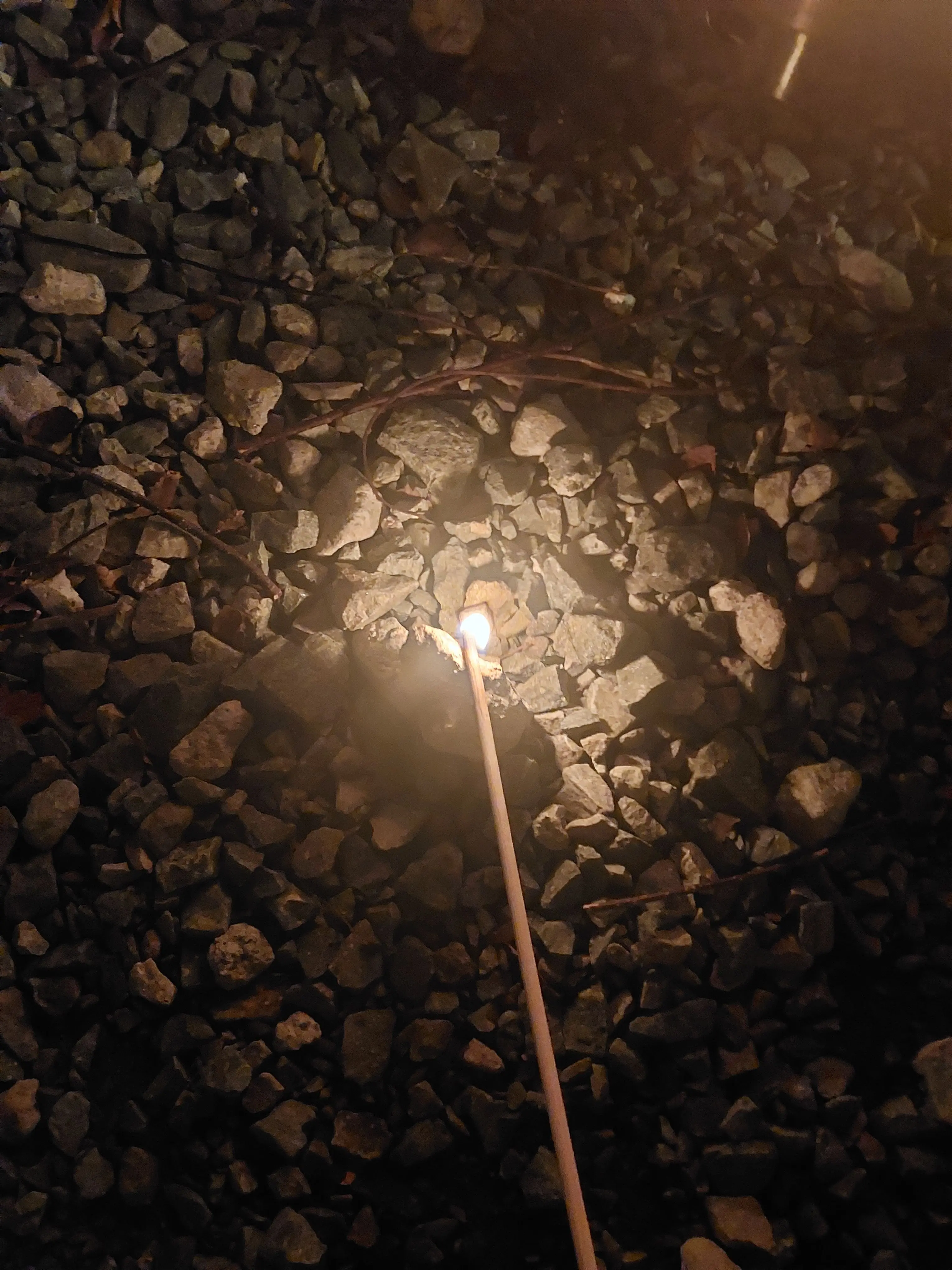 Moochi의 뜰팁고 밴드부