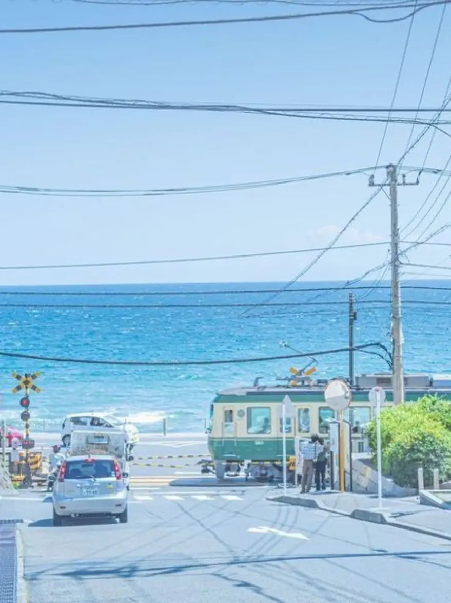 nitsukuTBTB의 🌵🐰🌶☕️💰🍞