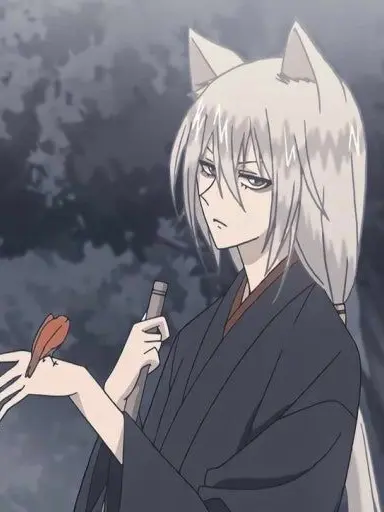 TacitLion1355의 토모에!