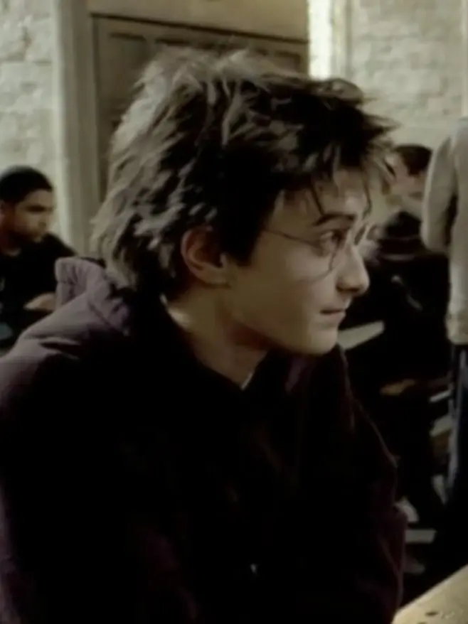 NarrowPie1934의 Harry Potter