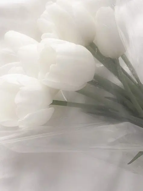 QuaintTree1189의 재수없는 모범생과 싸가지없는 양아치들