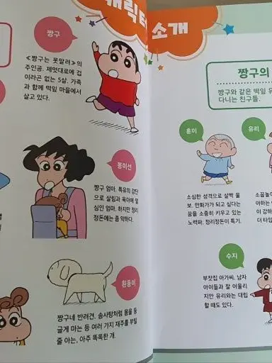 DirectFlea6455의 짱구