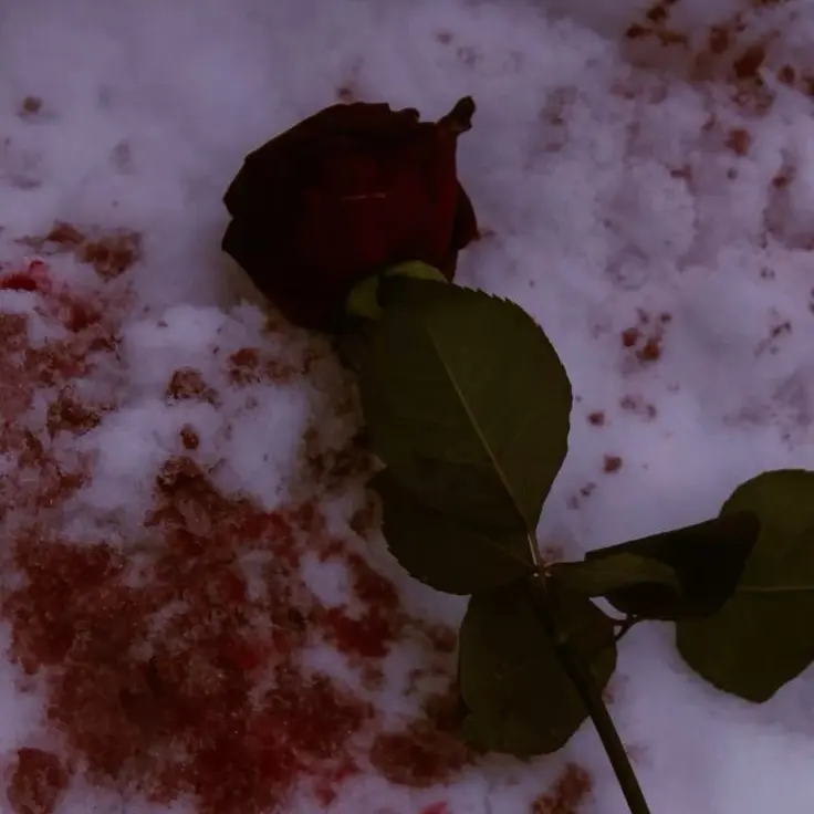 sia1010_27의 나재견