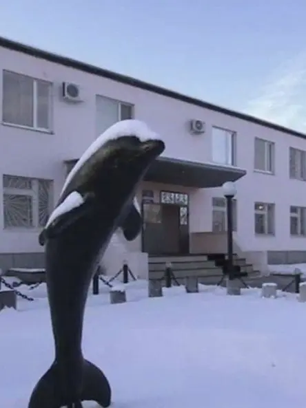Piedol787의 ロシア黒イルカ刑務所