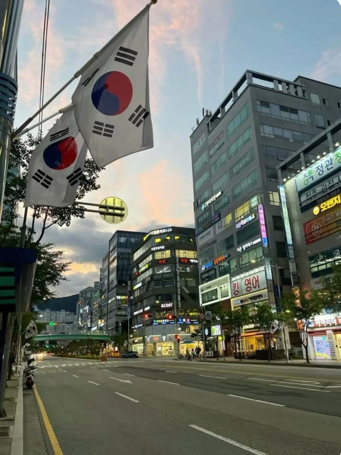 OverlyDhole9183의 You moved to Korea!!