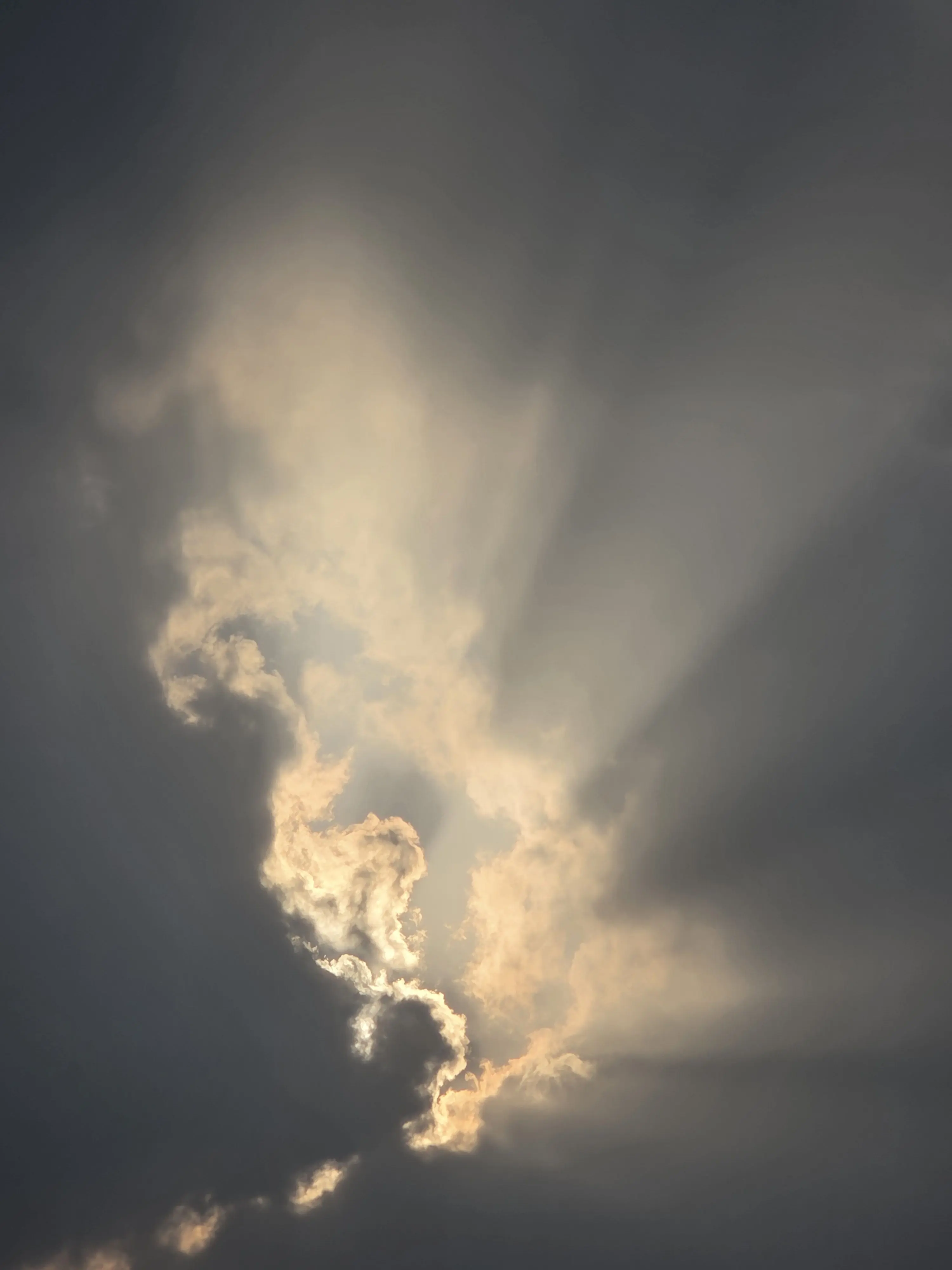 I.n010208의 뜰팁 초능력 수인학교!