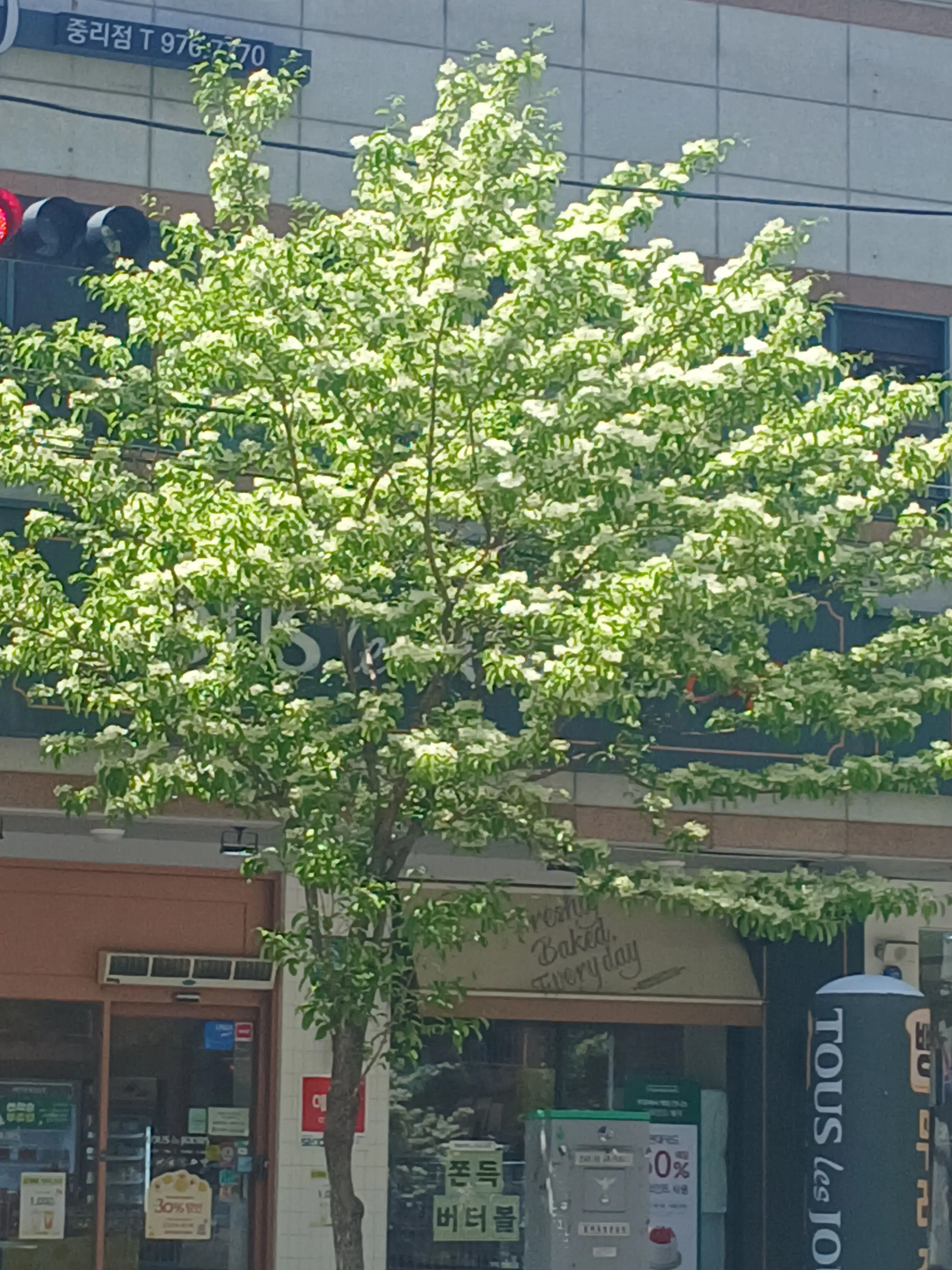 PettyBee4551의 김도훈과데이트(여우포함2탄)