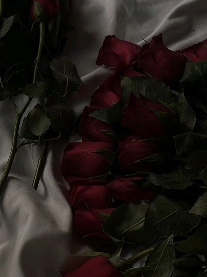 CozyLeg8014의 공주, 문 열어. 아저씨가 잘못했어.