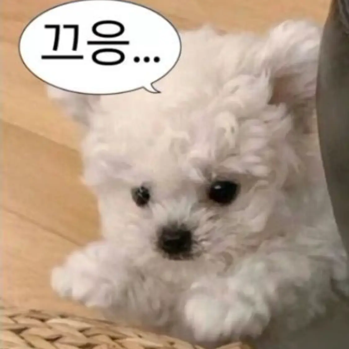 jkdkkdj_dkk의 에이티즈 친오빠들