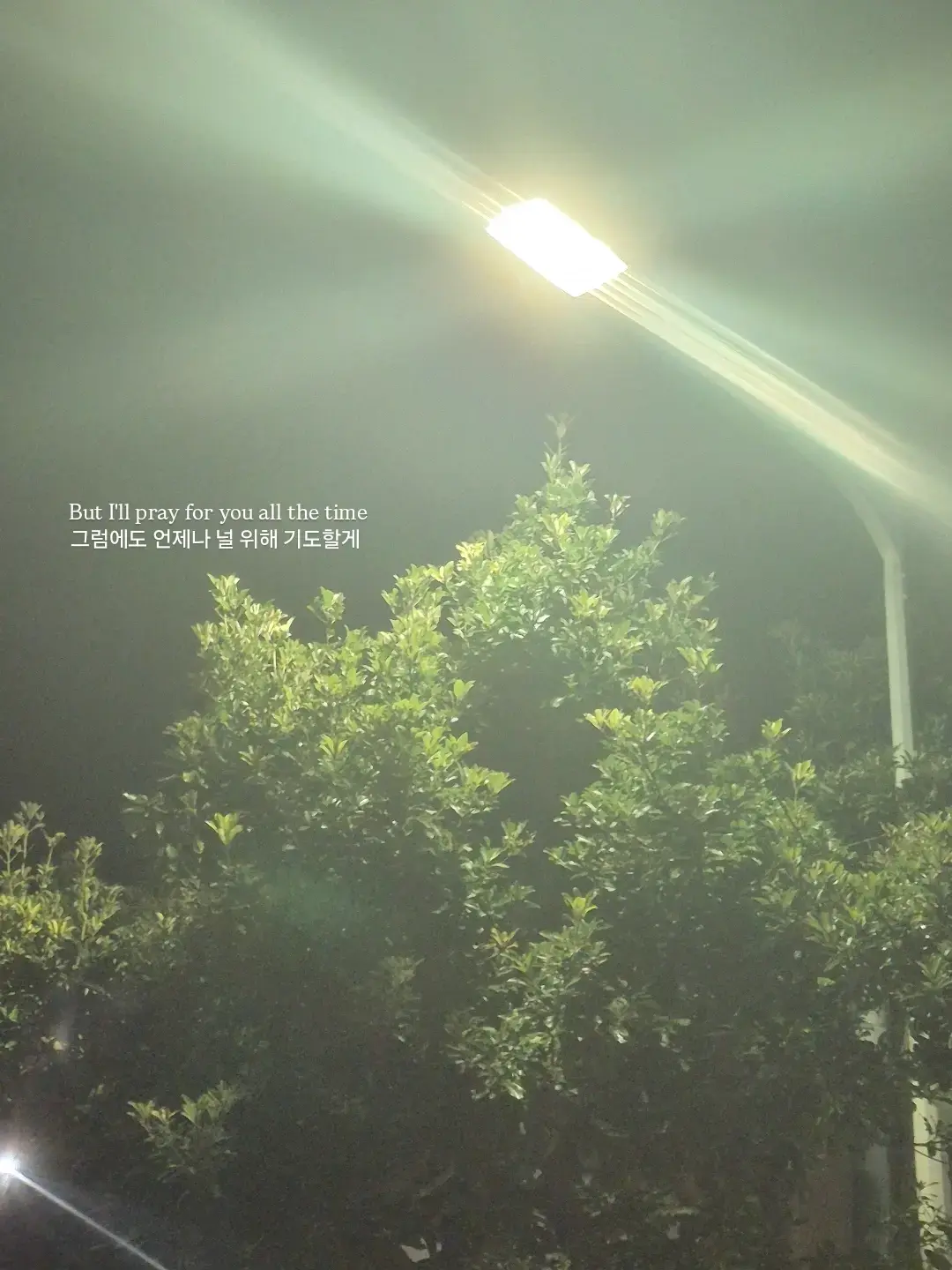 PlumPump2692의 남녀무리