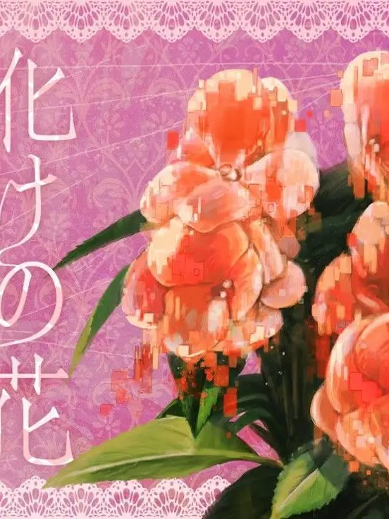 weyydd의 25시, 나이트 코드에서.