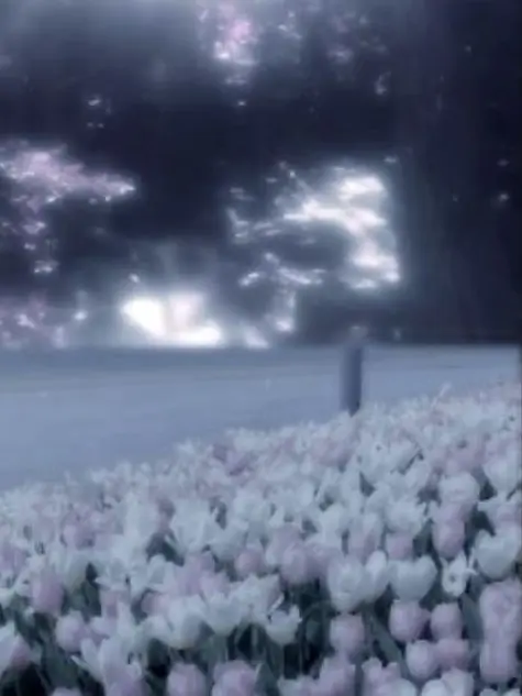 ruon_617의 # 世界一の怪盗 vs 8人の警察官 。