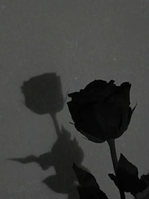 rosessi의 ㅤ