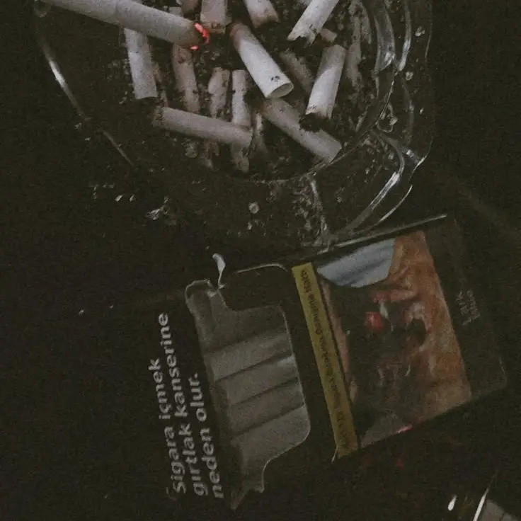 only_dino의 정공룡