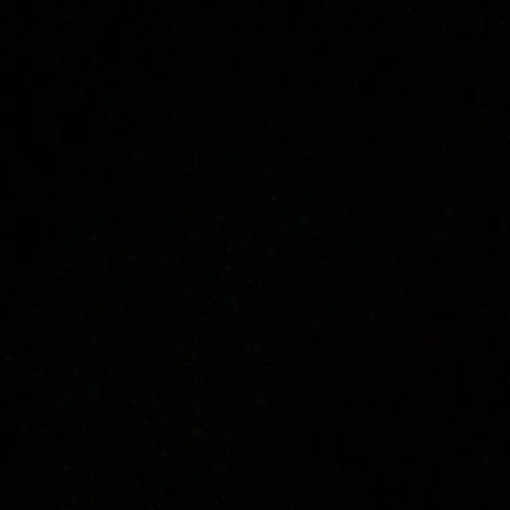 ONEDOOR091의 김동현