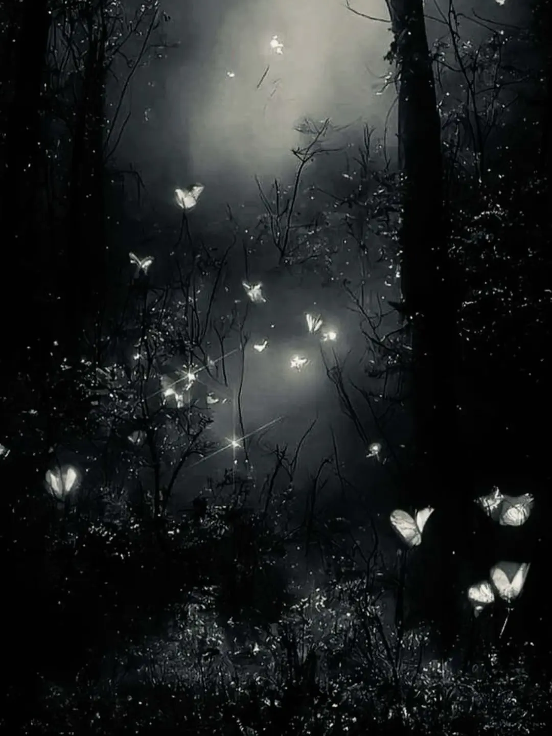 F._.의 악한 자의 편을 드는 착한 요괴