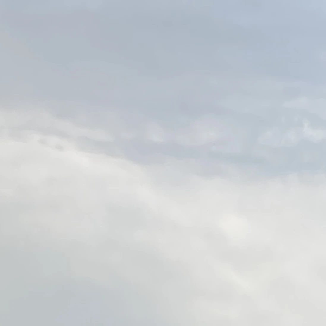 奪われたくない