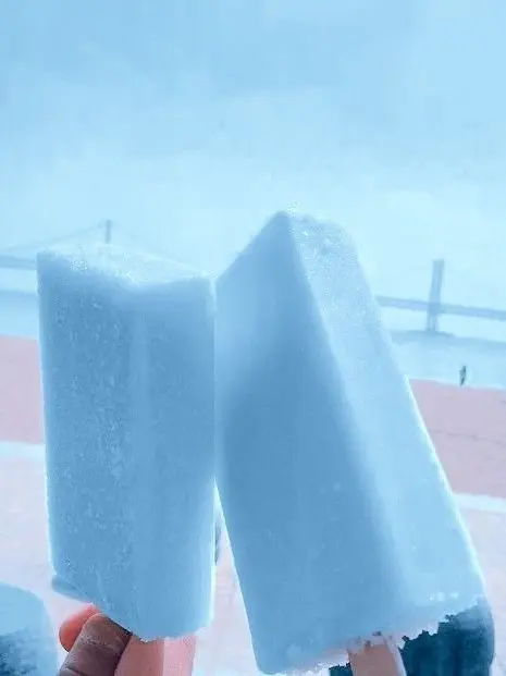 Catherine_h의 여름