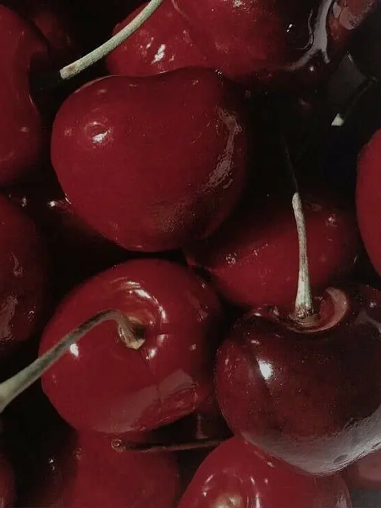 mikody3535의 あまねく