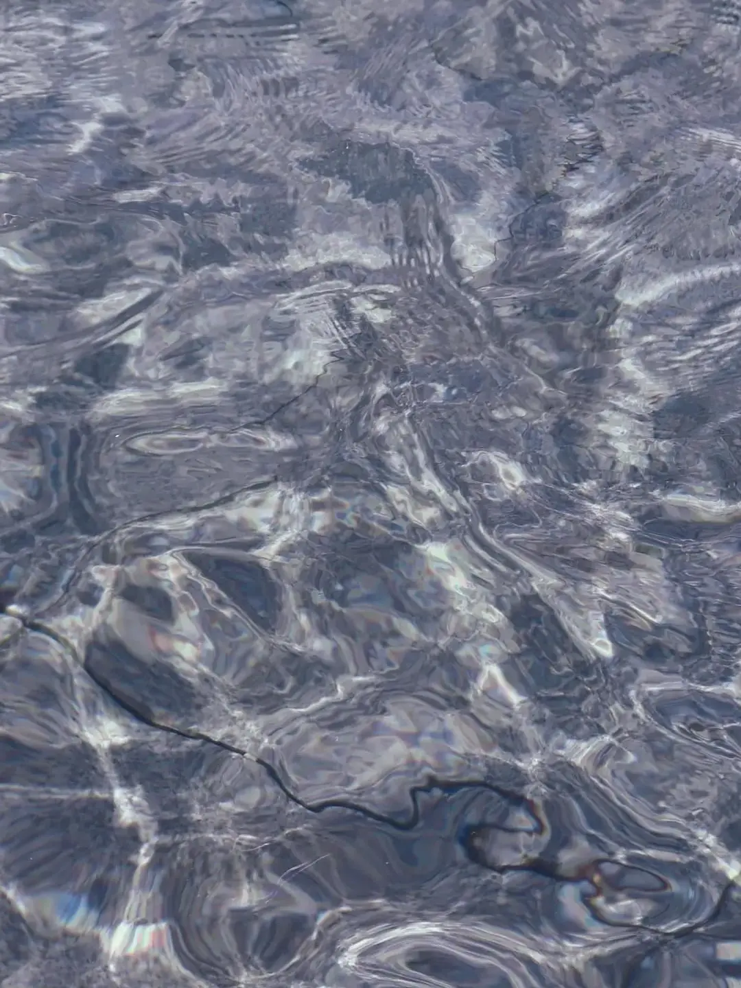 ScenicElbow6431의 아이브