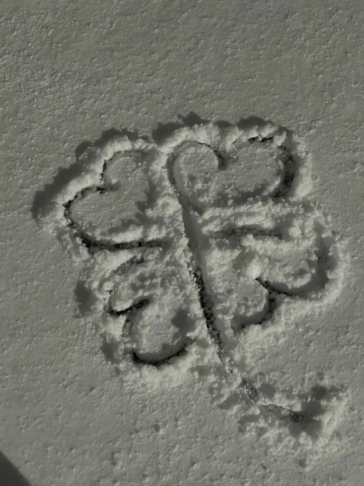 Tiramisu1009의 미숙한 거 알아, 그건 무시해줘.