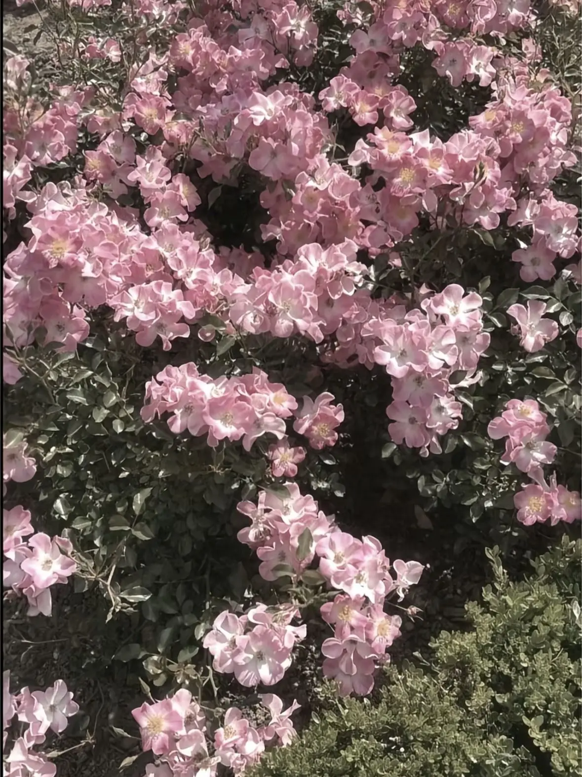 GO.GO.Johnny-의 나루미 겐