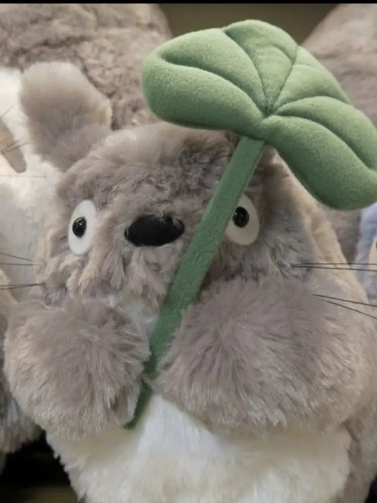 DecentBond6142의 유저, 박은애 나와.