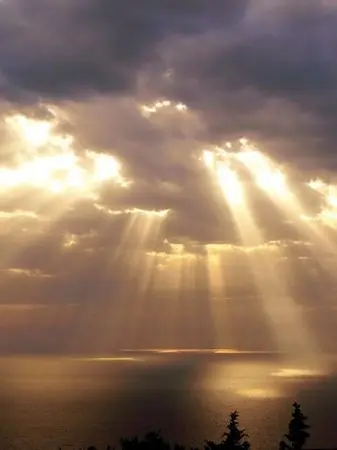 sameranaho3456의 아기가 된 신각자들