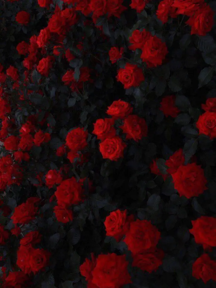 MagicCave5493의 枯れた花も春を待つ