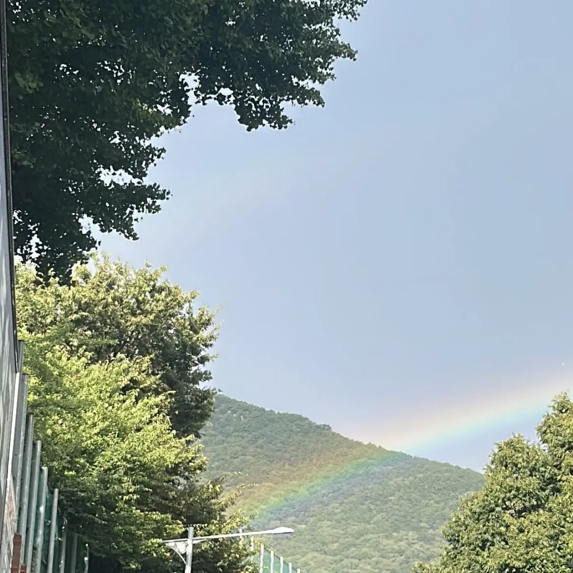 pal5gongx2의 푸르디 푸르던