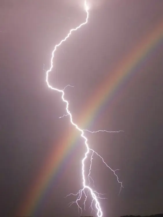 PIXELYISMYWORLD의 미수반(+여우)