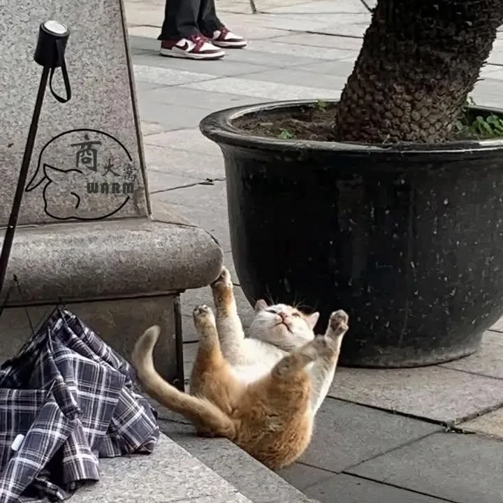 유지민
