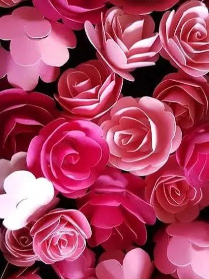 CalmLemur4958의 페이퍼 로즈