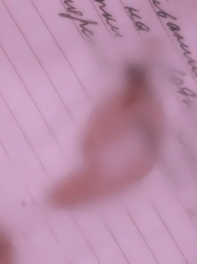 m.14의 自分用