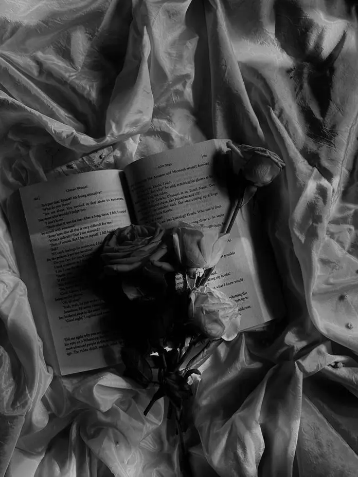 tyoru_Coups의 殺し屋SnowMan