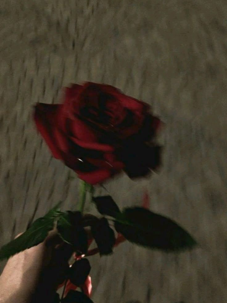 문동주 대표 이미지