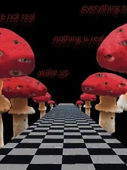 AngryTooth4126의 컨휴 백룸