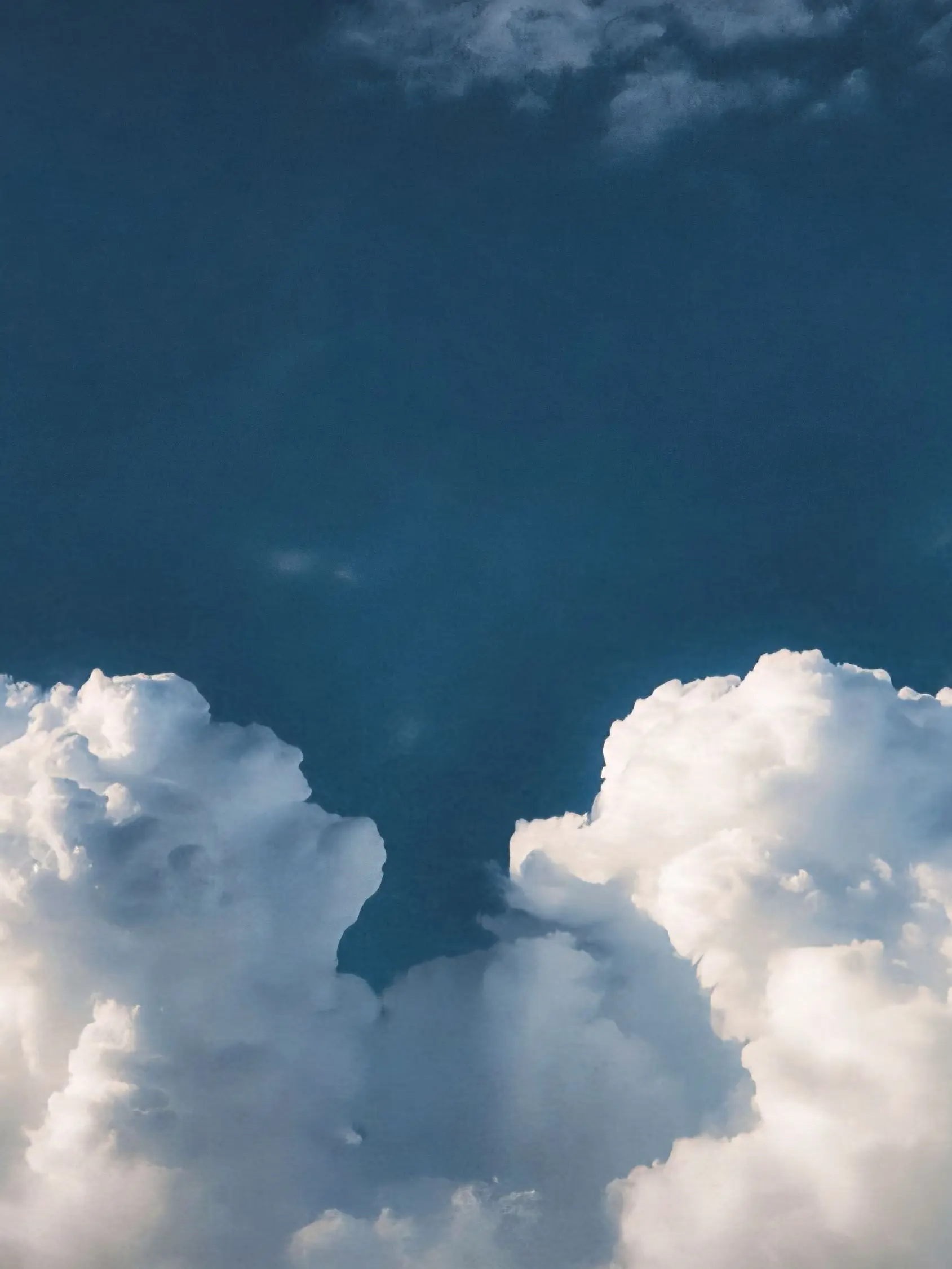 olioli_09의 선우이든