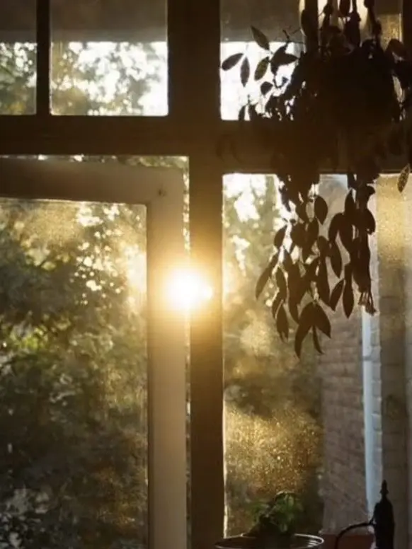 010-love-you의 2p 정신병원