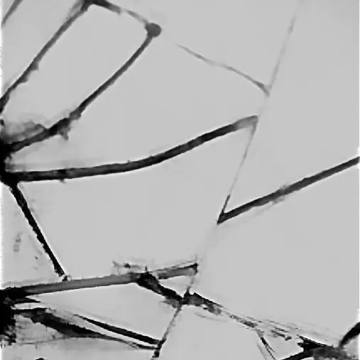 NICKNAME7552의 宣有宰