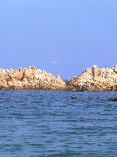 Sceience_Universe의 동해바다의 용이 되어서...