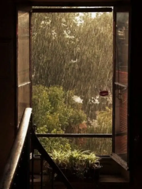 dreamer_0107의 공룡